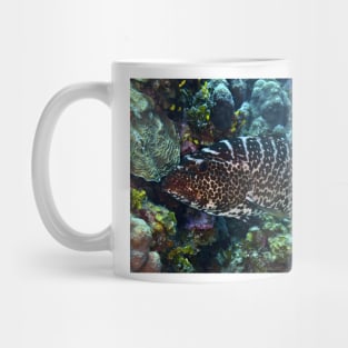 Nassau Grouper Mug